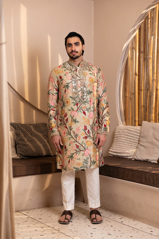 Kalamkari Print with Mirror Work Set